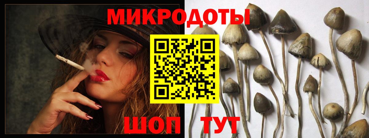 сколько стоит  Вход с VPN  Псилоцибиновые грибы Magic Shrooms  Котлас  Галлюциногенные грибы Psilocybe 